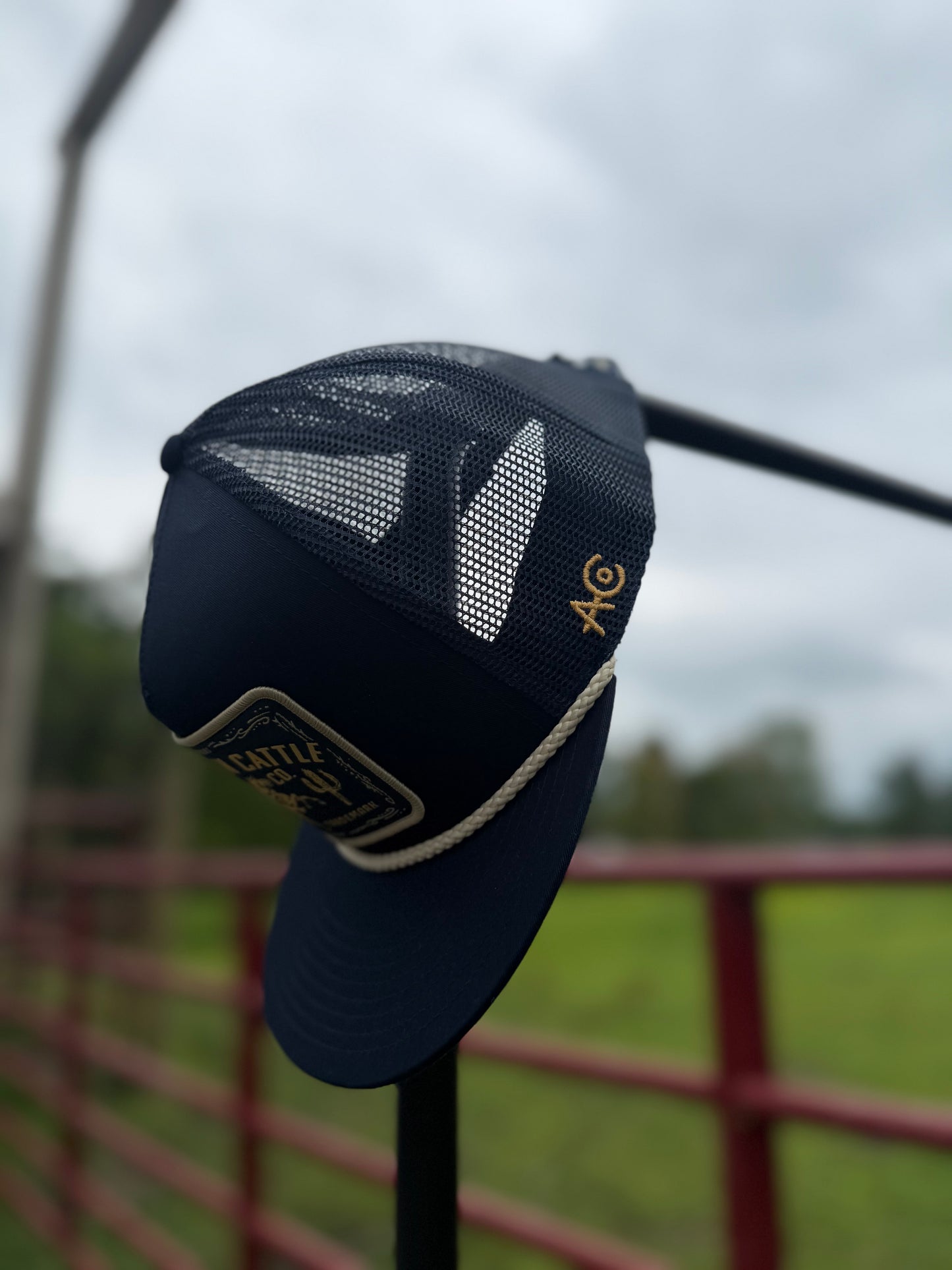 Bucking Horse Hat