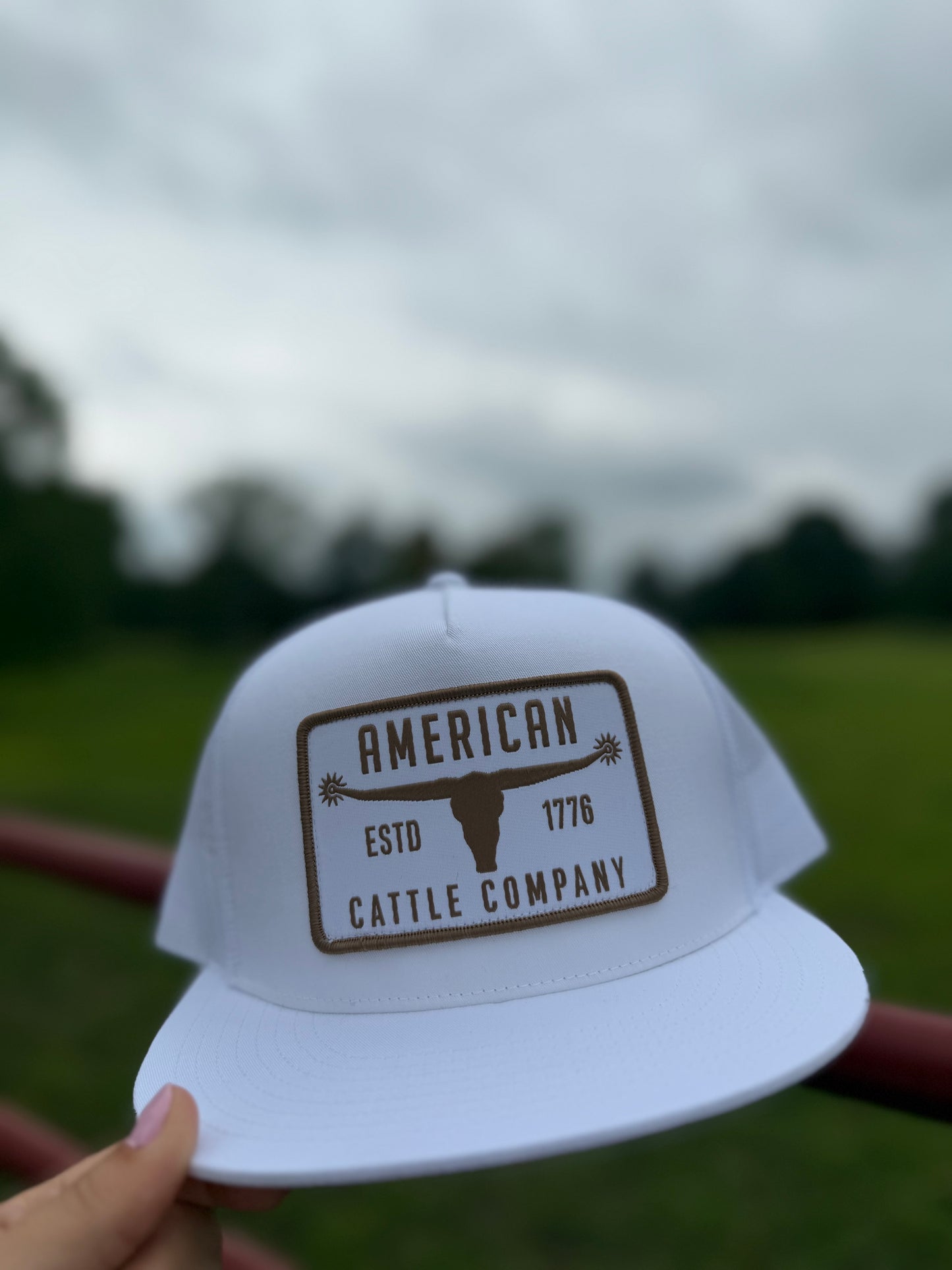 Bull Spurs Hat