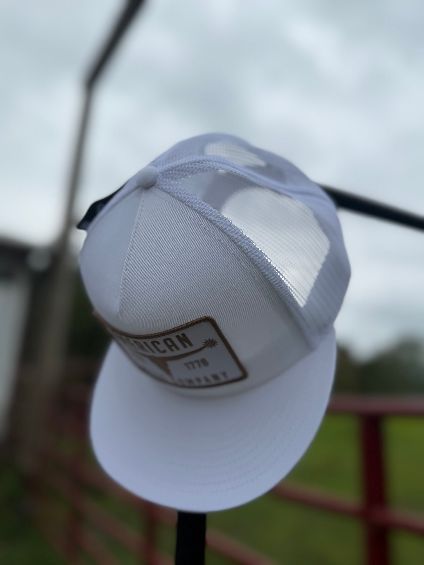 Bull Spurs Hat