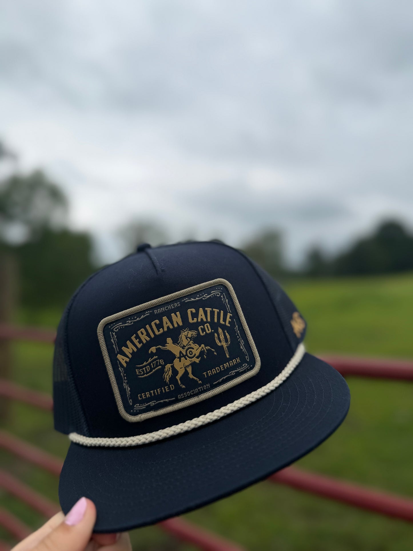Bucking Horse Hat